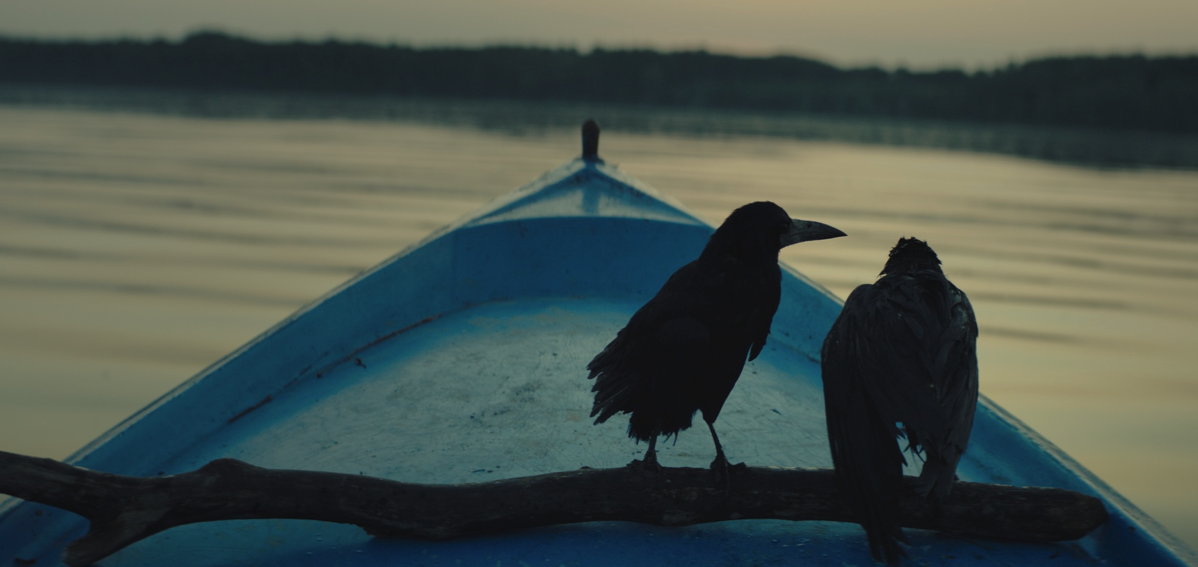 Film still: The Trap