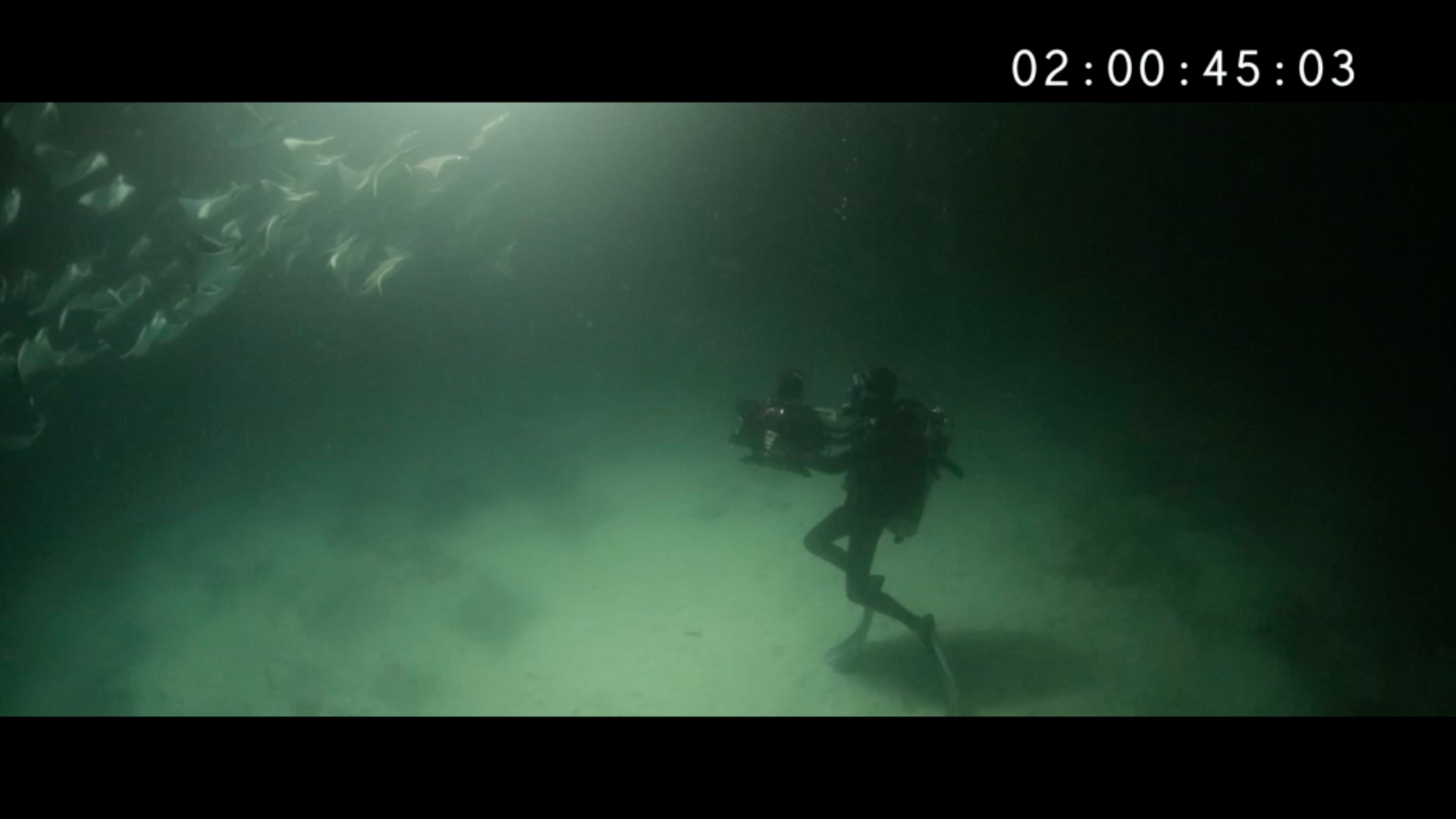 Film still: Farbe der Sehnsucht